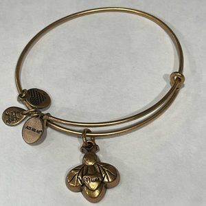 Alex and Ani charm bangle